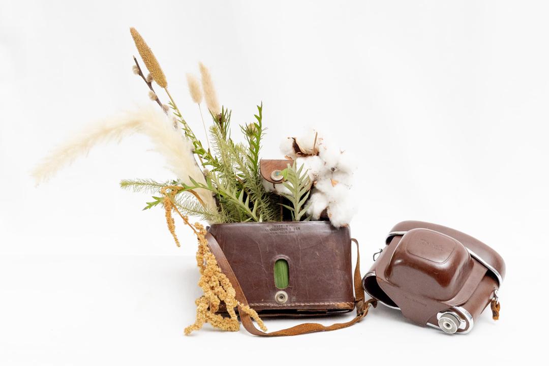 franjipanji corporate office gift set