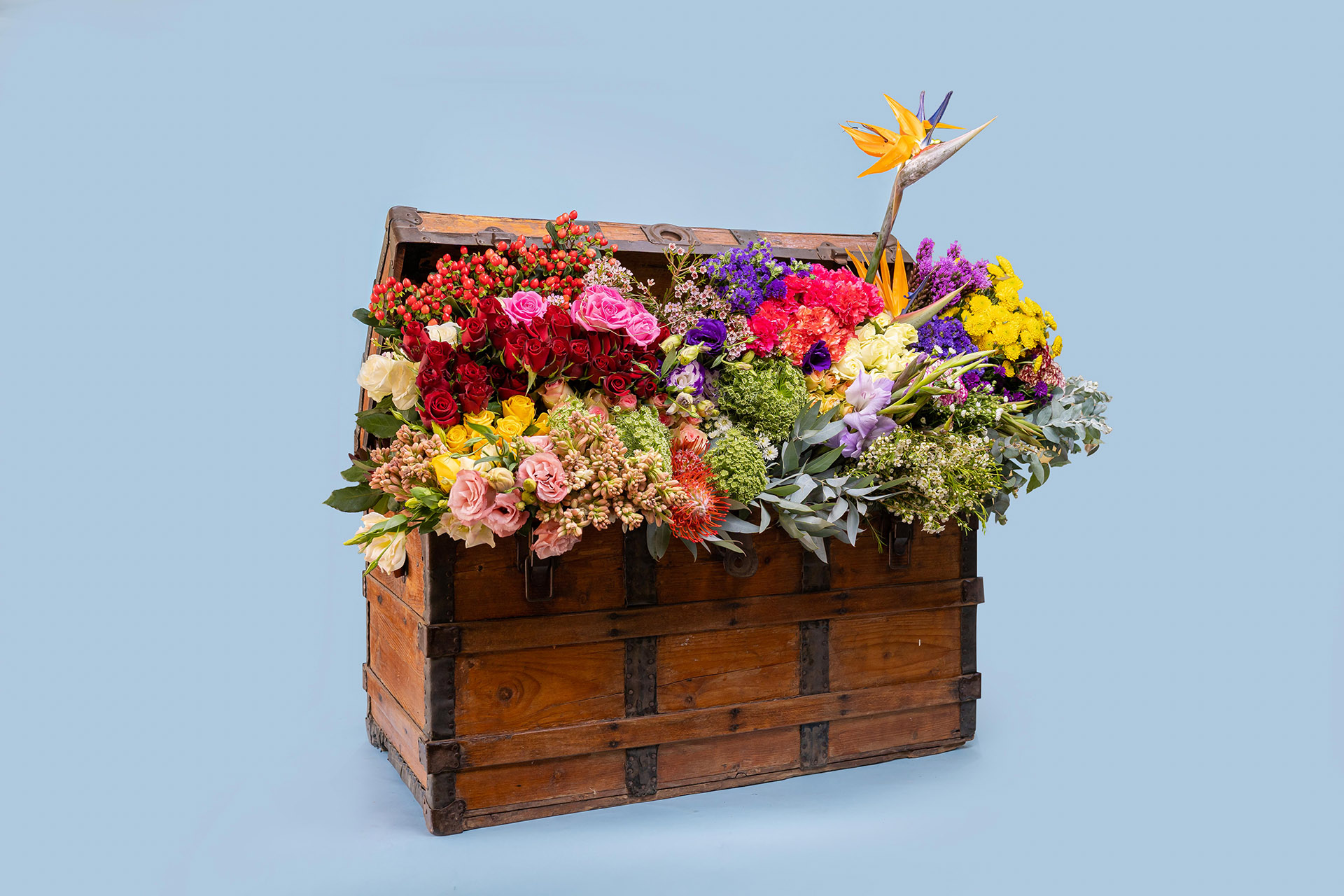 franjipanji flowers arranged in a vintage chest