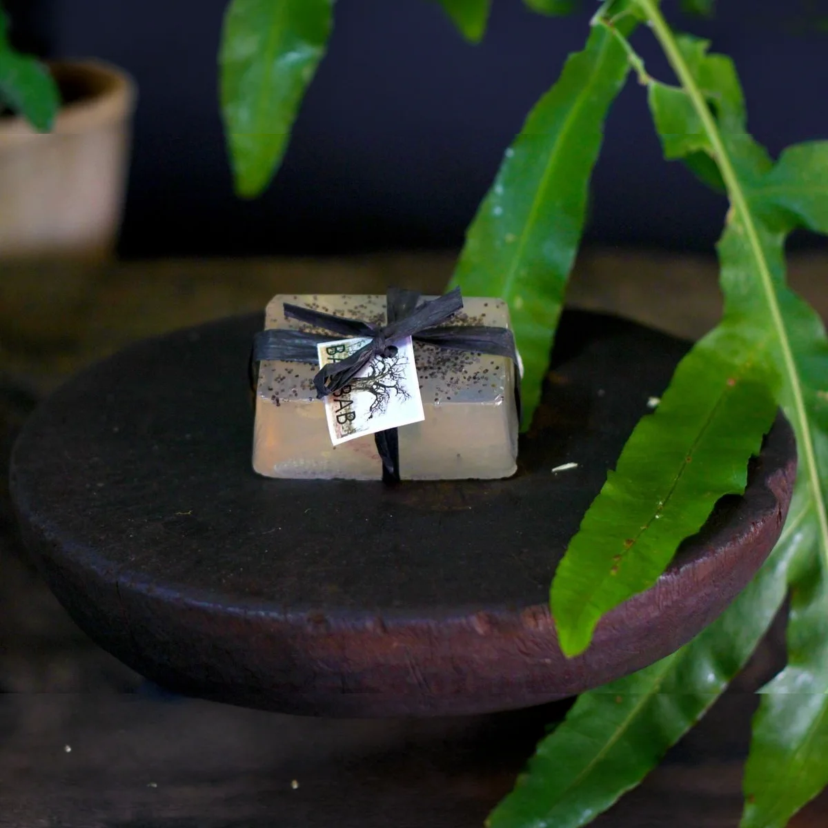 Baobab Soap